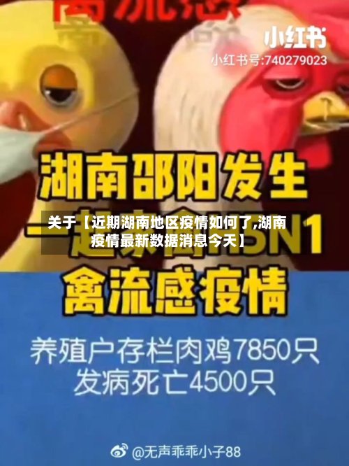 关于【近期湖南地区疫情如何了,湖南疫情最新数据消息今天】