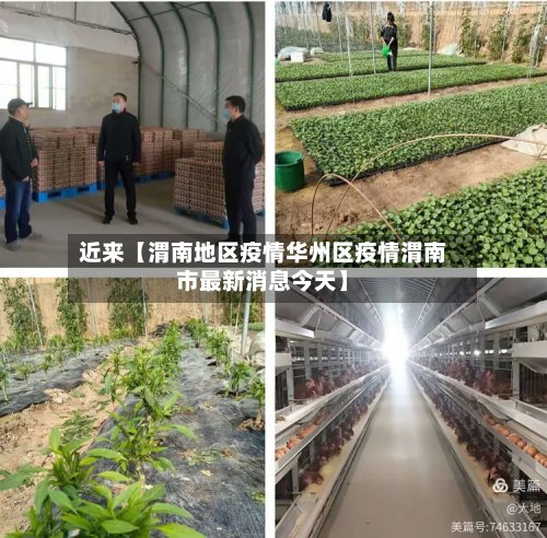 近来【渭南地区疫情华州区疫情渭南市最新消息今天】