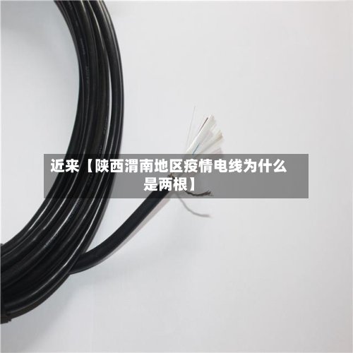 近来【陕西渭南地区疫情电线为什么是两根】