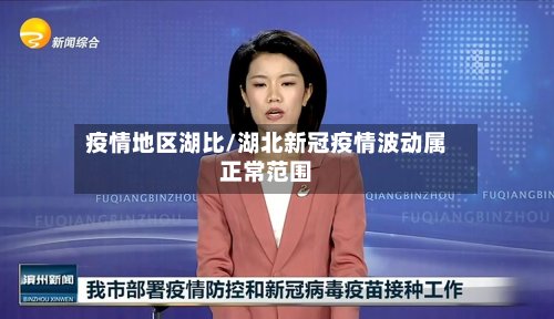 疫情地区湖比/湖北新冠疫情波动属正常范围-第2张图片