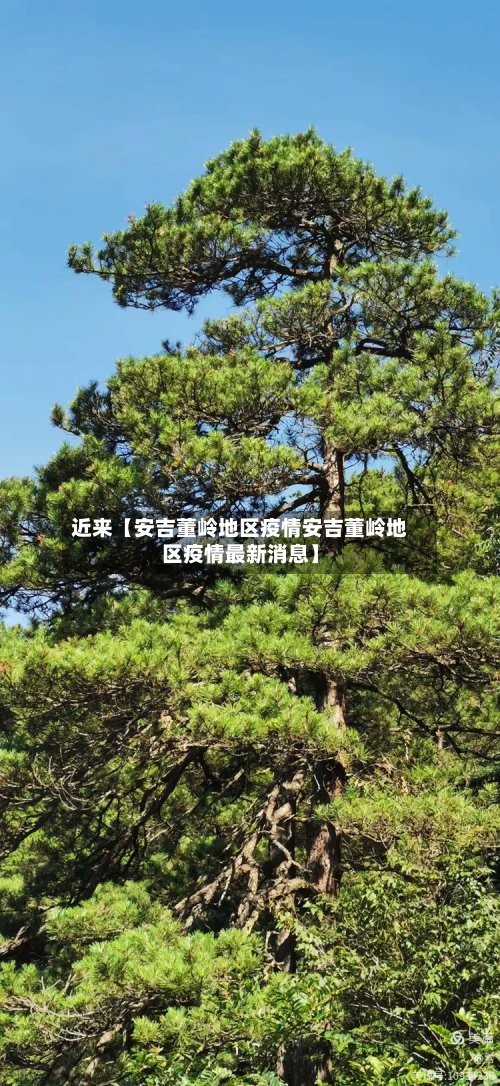近来【安吉董岭地区疫情安吉董岭地区疫情最新消息】-第3张图片