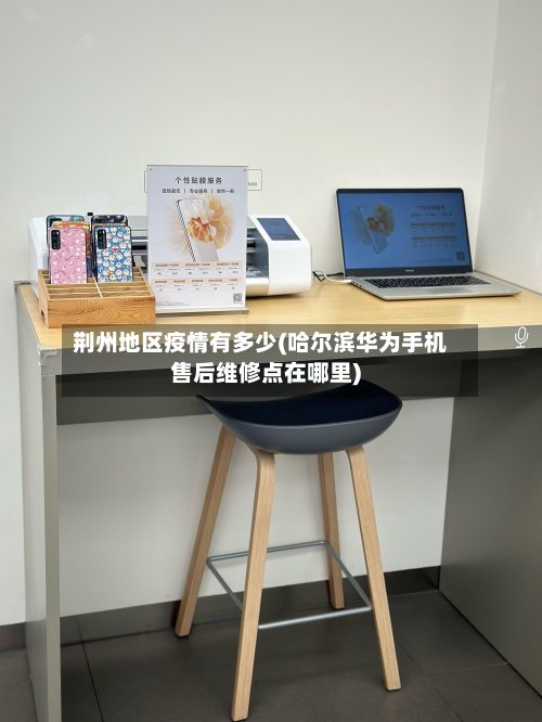荆州地区疫情有多少(哈尔滨华为手机售后维修点在哪里)-第3张图片