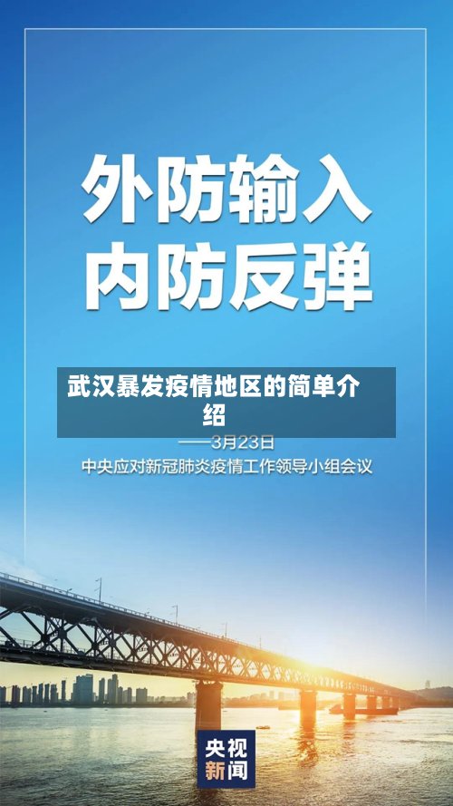 武汉暴发疫情地区的简单介绍-第3张图片