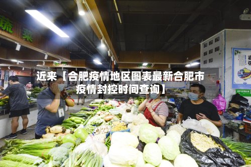 近来【合肥疫情地区图表最新合肥市疫情封控时间查询】-第3张图片