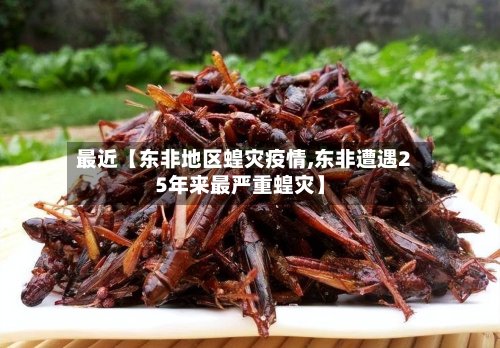 最近【东非地区蝗灾疫情,东非遭遇25年来最严重蝗灾】
