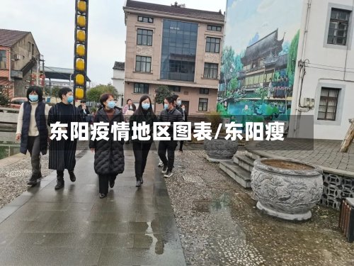 东阳疫情地区图表/东阳瘦
