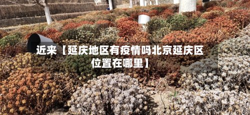 近来【延庆地区有疫情吗北京延庆区位置在哪里】