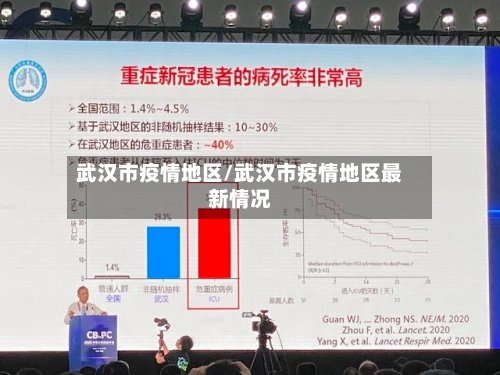 武汉市疫情地区/武汉市疫情地区最新情况