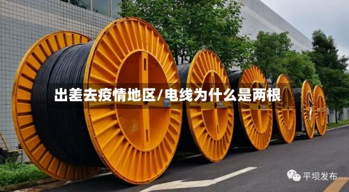 出差去疫情地区/电线为什么是两根-第3张图片