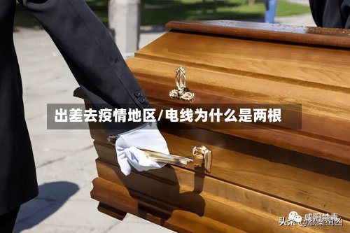 出差去疫情地区/电线为什么是两根