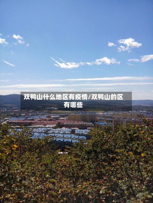 双鸭山什么地区有疫情/双鸭山的区有哪些