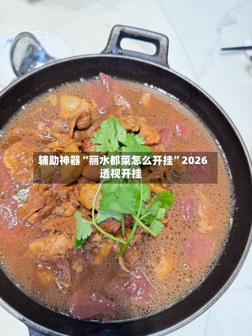 辅助神器“丽水都菜怎么开挂”2026透视开挂-第2张图片