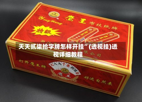 天天贰柒拾字牌怎样开挂	”(透视挂)透视详细教程-第2张图片