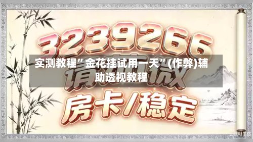 实测教程”金花挂试用一天”(作弊)辅助透视教程