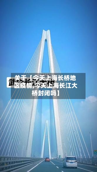关于【今天上海长桥地区疫情,今天上海长江大桥封闭吗】-第2张图片