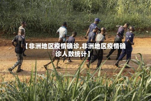 【非洲地区疫情确诊,非洲地区疫情确诊人数统计】-第3张图片