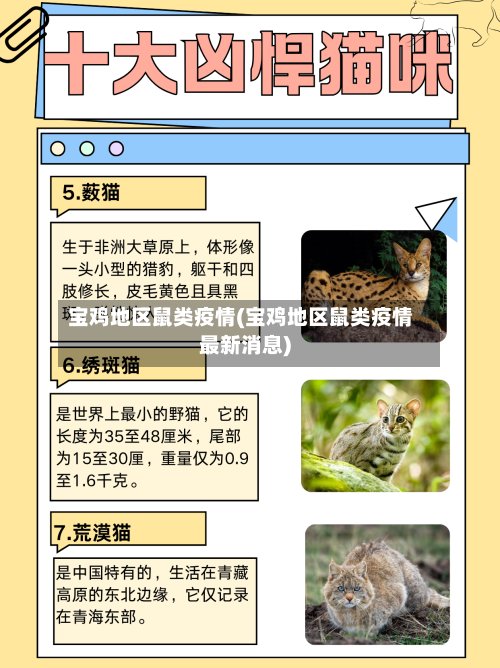 宝鸡地区鼠类疫情(宝鸡地区鼠类疫情最新消息)