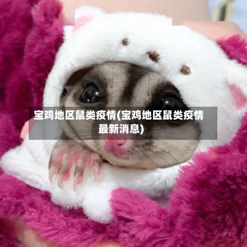 宝鸡地区鼠类疫情(宝鸡地区鼠类疫情最新消息)-第2张图片