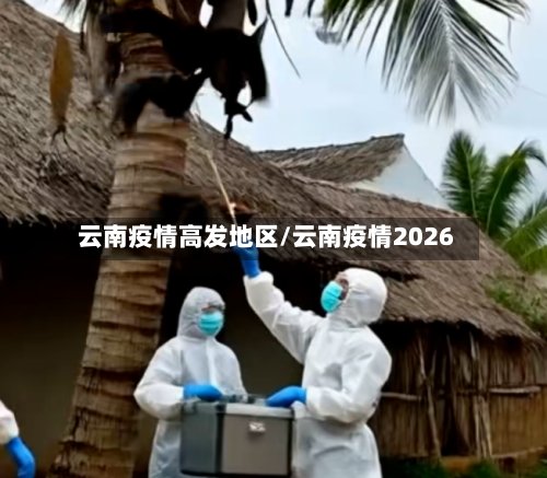 云南疫情高发地区/云南疫情2026-第3张图片