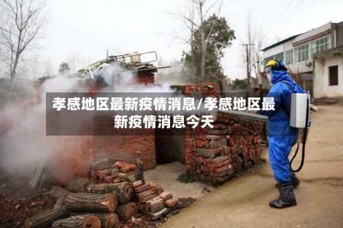 孝感地区最新疫情消息/孝感地区最新疫情消息今天