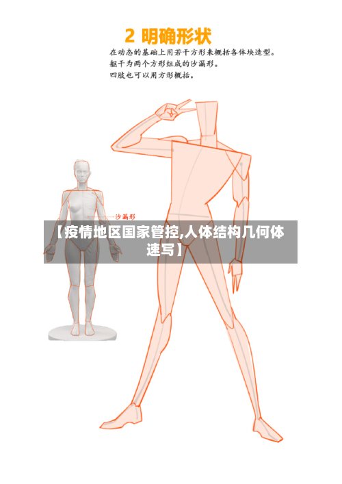 【疫情地区国家管控,人体结构几何体速写】-第2张图片