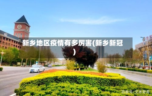新乡地区疫情有多厉害(新乡新冠)-第3张图片