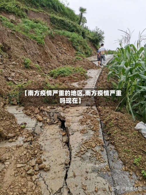 【南方疫情严重的地区,南方疫情严重吗现在】