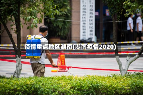 疫情重点地区湖南(湖南疫情2020)