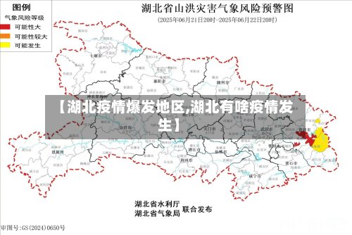 【湖北疫情爆发地区,湖北有啥疫情发生】