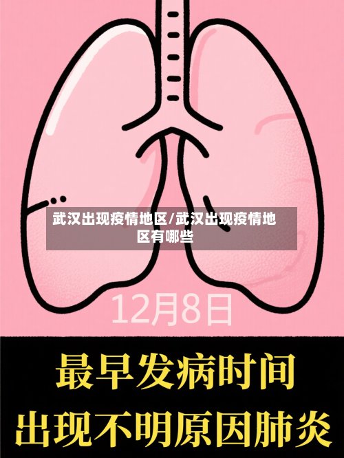 武汉出现疫情地区/武汉出现疫情地区有哪些