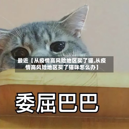 最近【从疫情高风险地区买了猫,从疫情高风险地区买了猫咪怎么办】-第3张图片