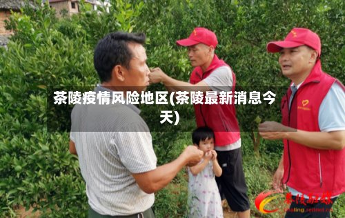 茶陵疫情风险地区(茶陵最新消息今天)