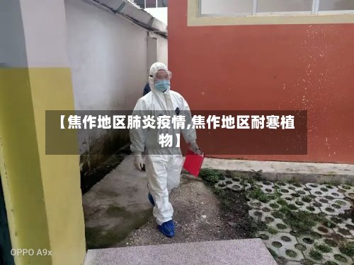 【焦作地区肺炎疫情,焦作地区耐寒植物】-第2张图片