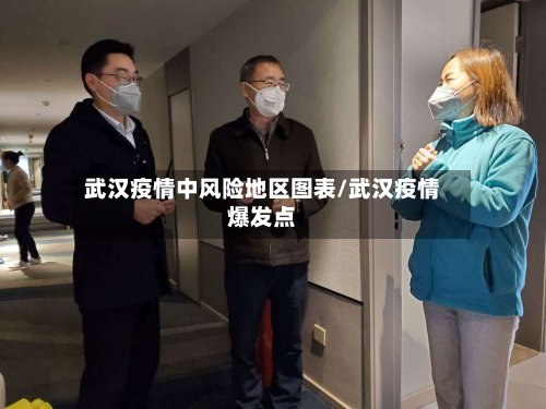 武汉疫情中风险地区图表/武汉疫情爆发点-第2张图片