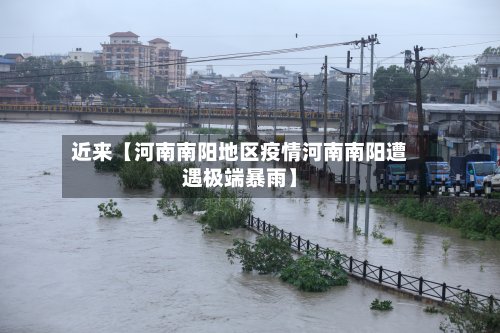 近来【河南南阳地区疫情河南南阳遭遇极端暴雨】-第2张图片