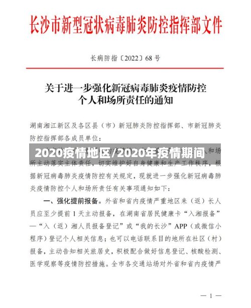 2020疫情地区/2020年疫情期间