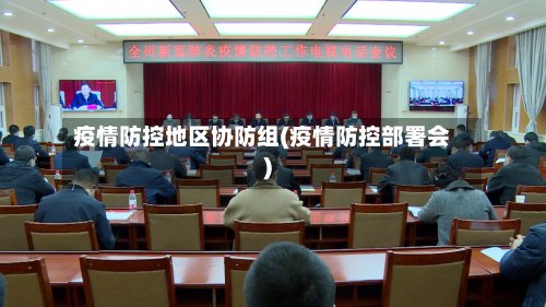 疫情防控地区协防组(疫情防控部署会)