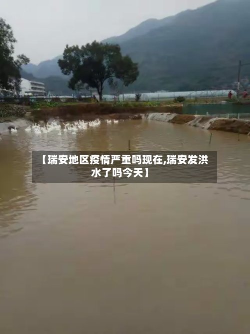 【瑞安地区疫情严重吗现在,瑞安发洪水了吗今天】