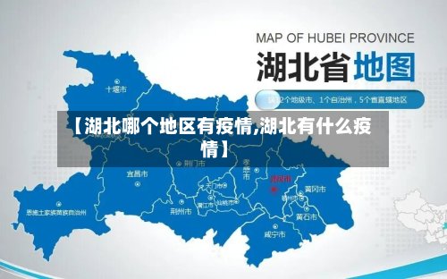 【湖北哪个地区有疫情,湖北有什么疫情】-第2张图片
