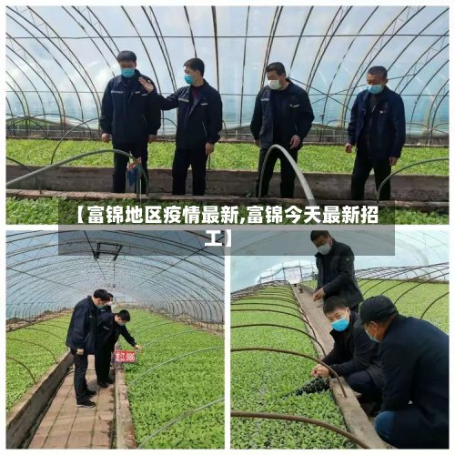 【富锦地区疫情最新,富锦今天最新招工】-第2张图片