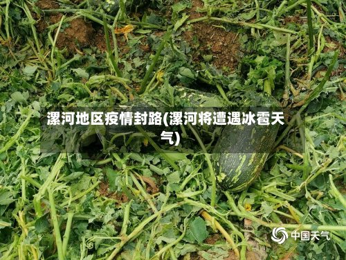 漯河地区疫情封路(漯河将遭遇冰雹天气)-第2张图片