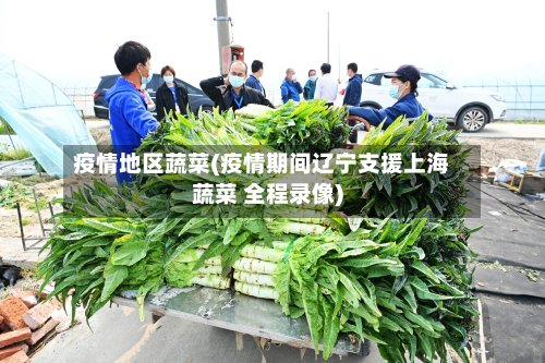 疫情地区蔬菜(疫情期间辽宁支援上海蔬菜 全程录像)