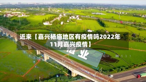 近来【嘉兴杨庙地区有疫情吗2022年11月嘉兴疫情】-第2张图片
