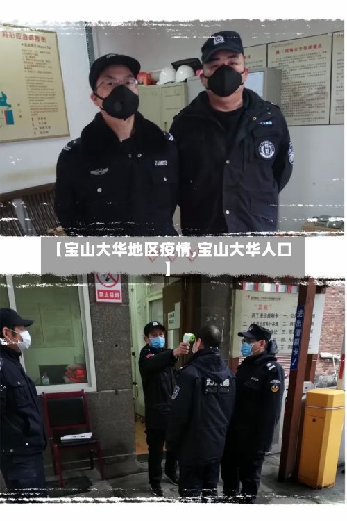 【宝山大华地区疫情,宝山大华人口】
