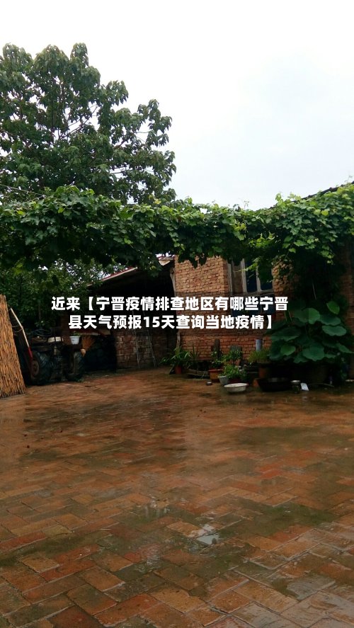 近来【宁晋疫情排查地区有哪些宁晋县天气预报15天查询当地疫情】-第3张图片