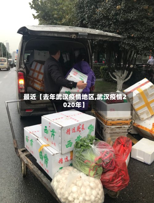 最近【去年武汉疫情地区,武汉疫情2020年】-第2张图片