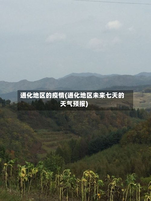 通化地区的疫情(通化地区未来七天的天气预报)-第2张图片