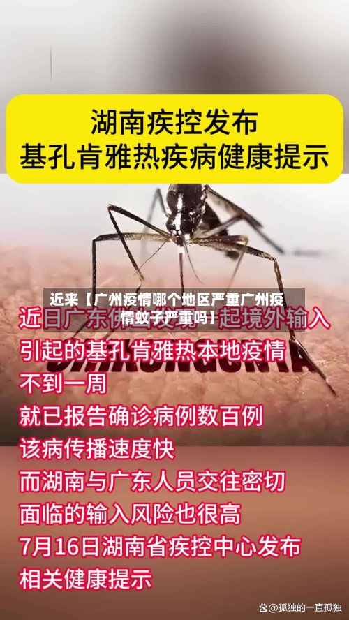 近来【广州疫情哪个地区严重广州疫情蚊子严重吗】-第2张图片