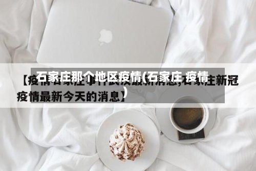 石家庄那个地区疫情(石家庄 疫情)