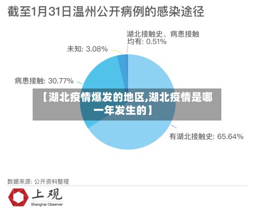 【湖北疫情爆发的地区,湖北疫情是哪一年发生的】-第2张图片
